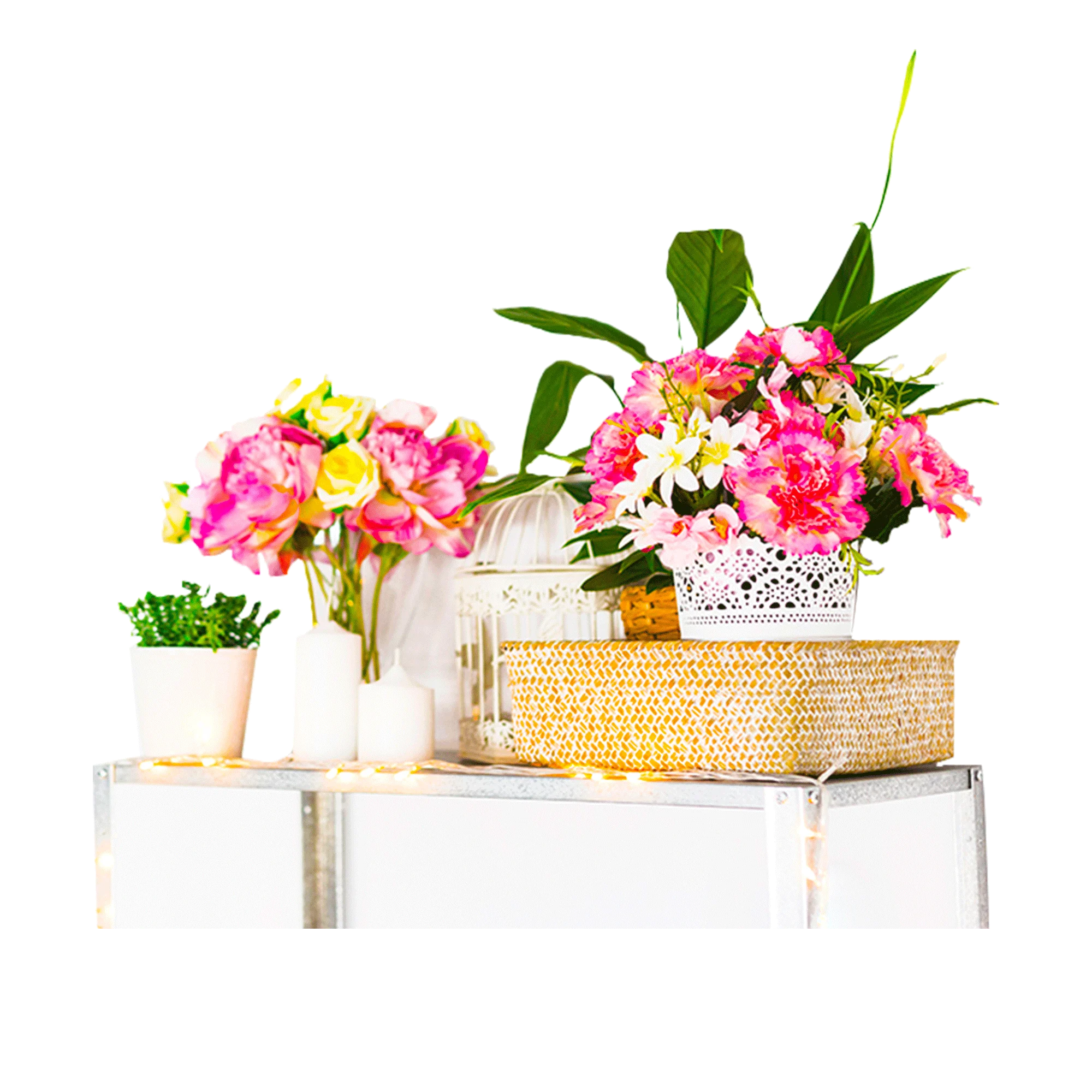 Enhance Your Space With Our Elegant Vases & Pots